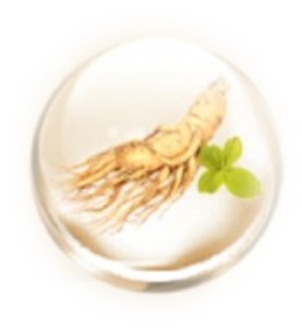 Thyme Extract Thyme Extract