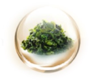Seaweed Extract Seaweed Extract