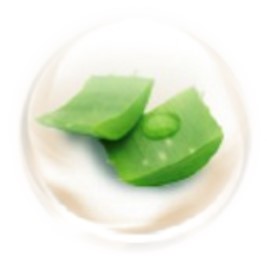 Butterfly Pea Extract Butterfly Pea Extract