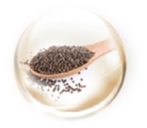 Chia Seed Extract Chia Seed Extract