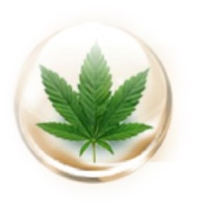 CBD and Hemp Seed Extract CBD and Hemp Seed Extract