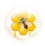 Bee Wax Bee Wax