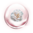 French Rose Flower Extract French Rose Flower Extract