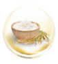 Jasmine Rice Extract Jasmine Rice Extract