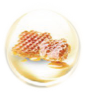 Honey Extract Honey Extract